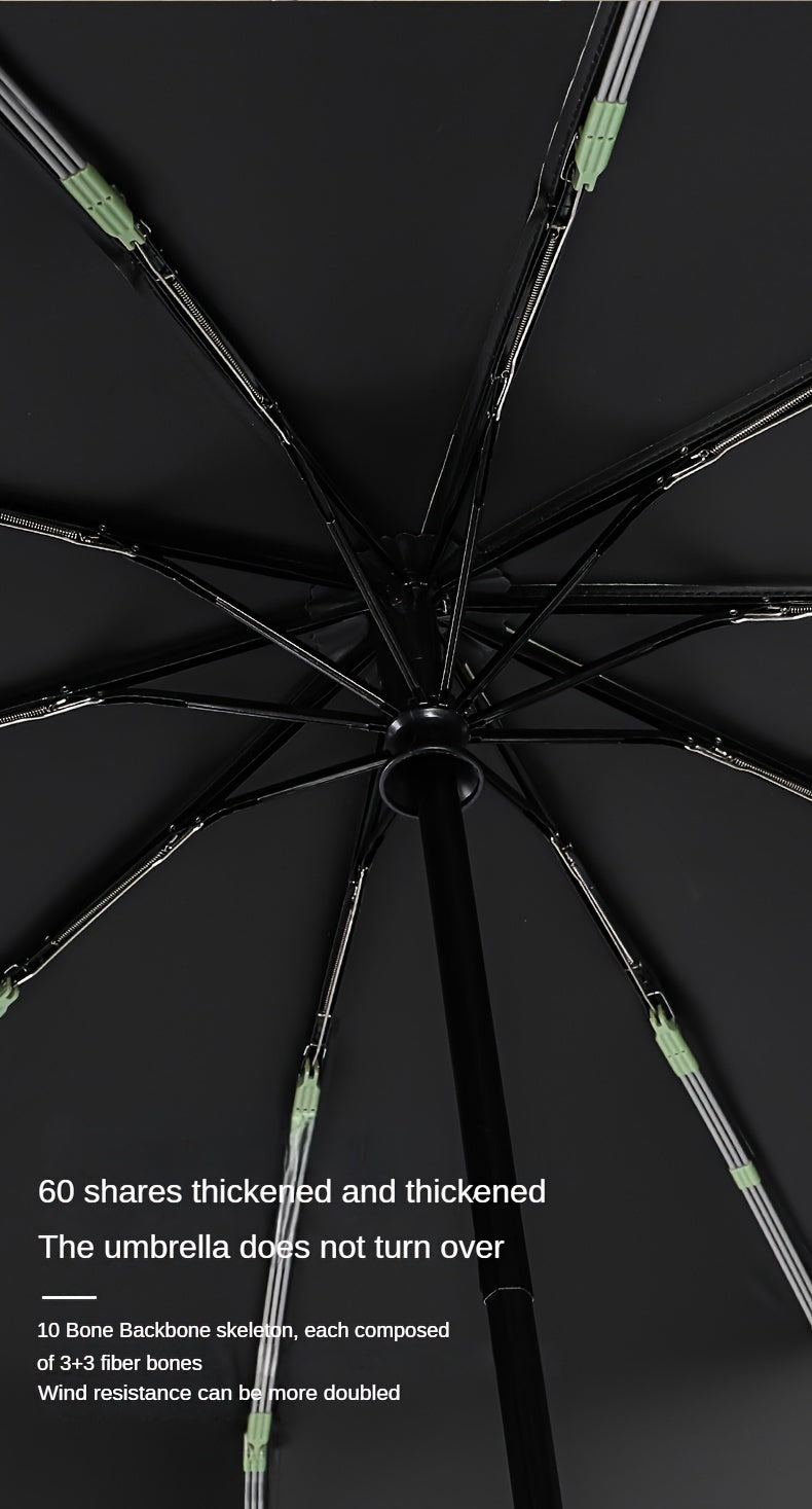 Automatic Umbrella with 10-Rib Windproof Design .