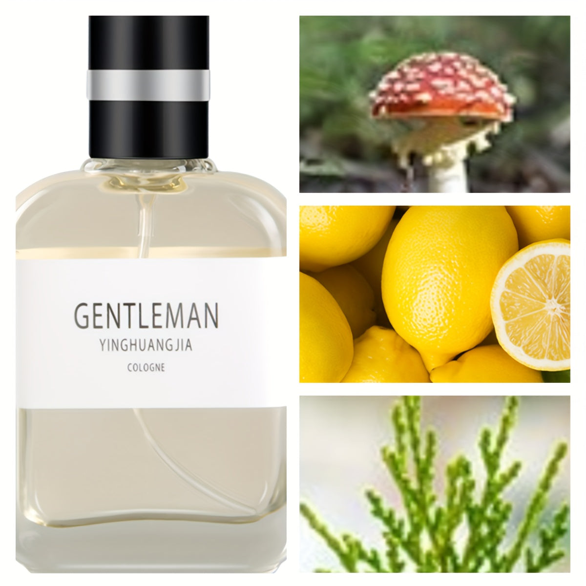 Oriental Aroma Cologne for Men - Long-Lasting, Refreshing Fragrance for Dating, Daily Life, and Special Occasions - Perfect Gift for Christmas, Valentine's Day, and Father's Day