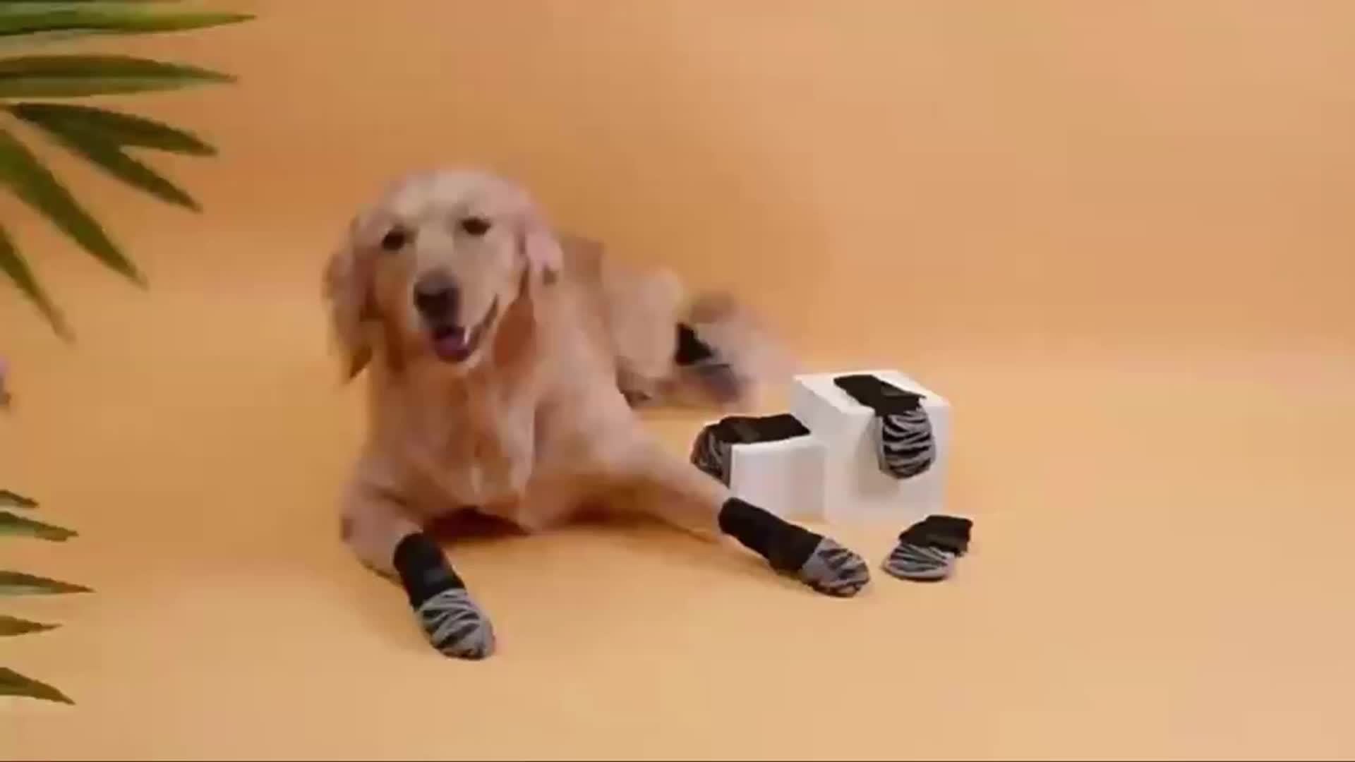 4pcs Waterproof Dog Non-slip Socks Shoes, Breathable Outdoor Accessories.MH