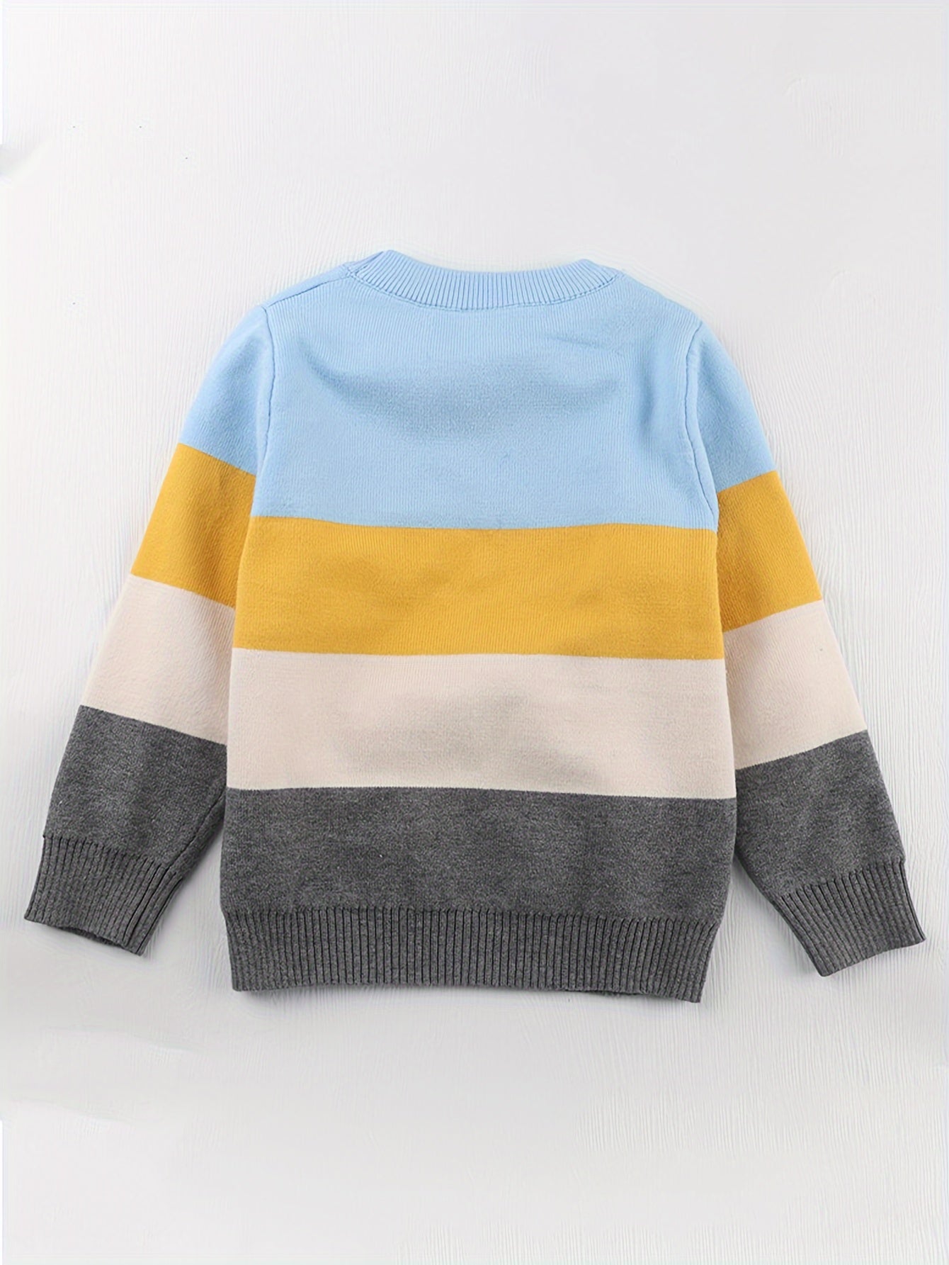 Boys Color Block Cartoon Tiger And Crocodile Pattern Sweater