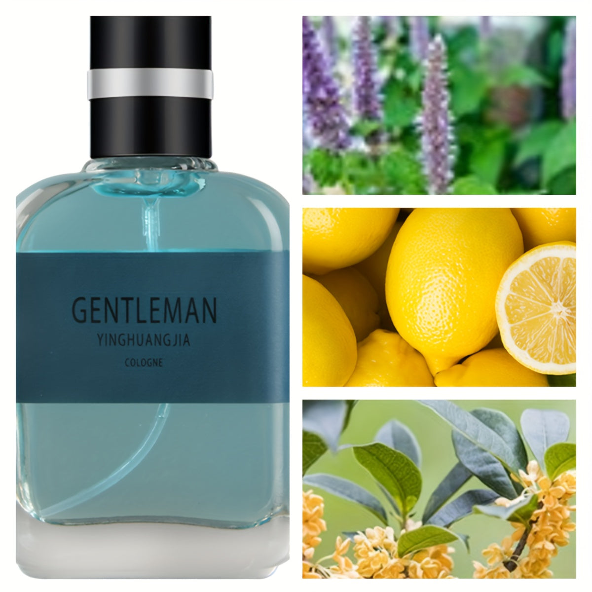 Oriental Aroma Cologne for Men - Long-Lasting, Refreshing Fragrance for Dating, Daily Life, and Special Occasions - Perfect Gift for Christmas, Valentine's Day, and Father's Day