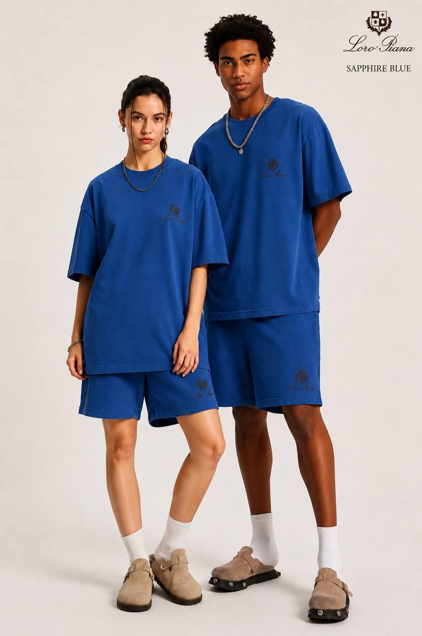Premium Oversized T-Shirt & Shorts Co-ord Set | Casual Streetwear | Embroidered Logo | 6 Colors | M–XXL | MH