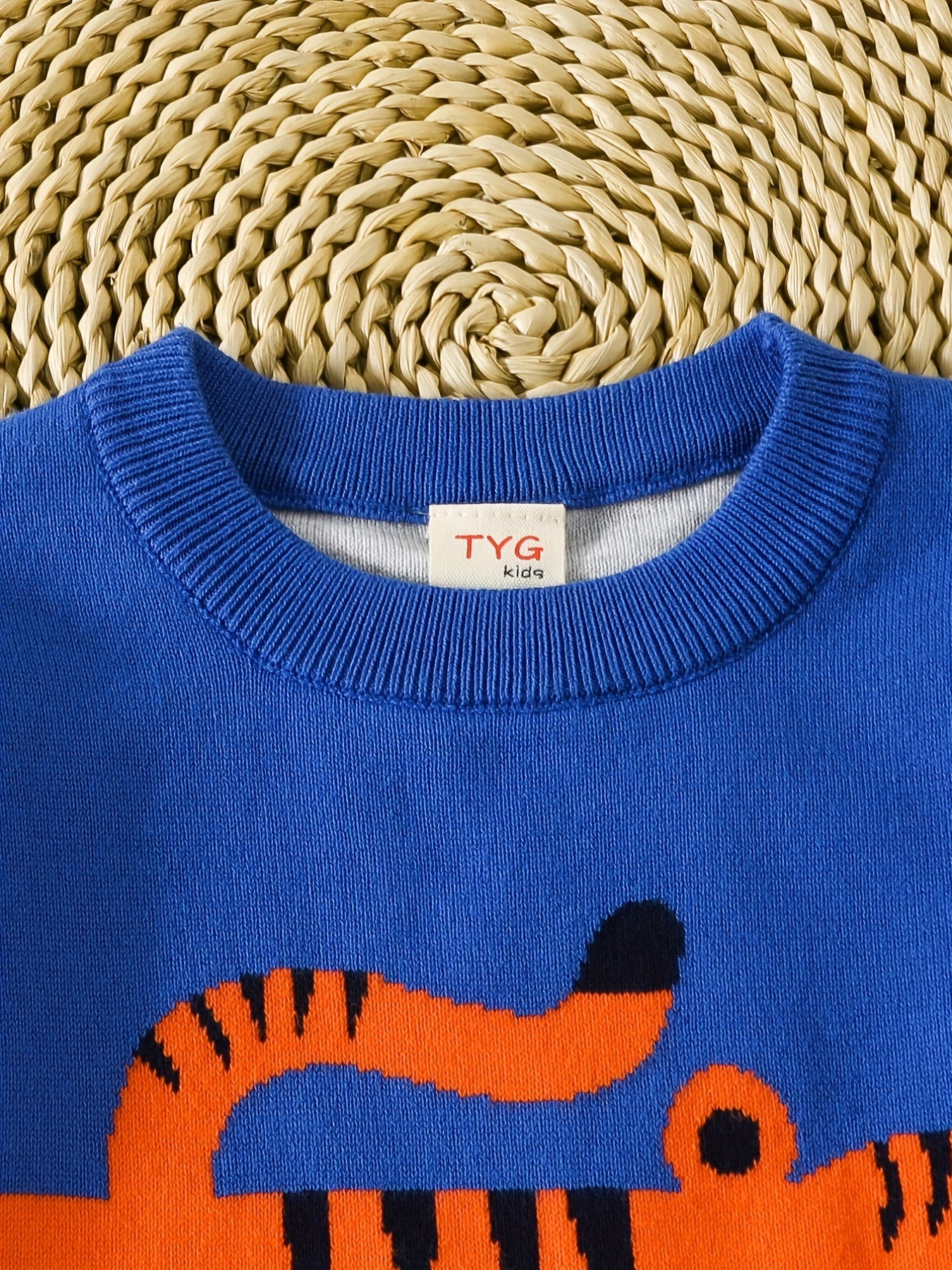 Boys Color Block Cartoon Tiger And Crocodile Pattern Sweater