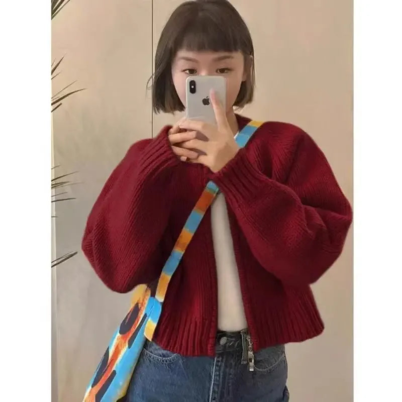 Gray Short Sweater Coat Women Clothing Autumn Winter New Loose .