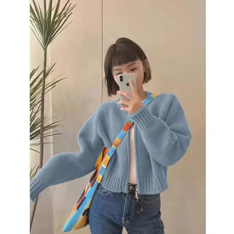 Gray Short Sweater Coat Women Clothing Autumn Winter New Loose .