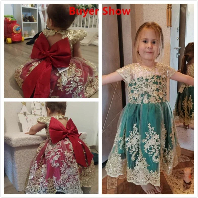 Toddler Baby Girls Lace Dress Elegant Embroidery Flower Princess Dresses for 1-5 Years Newborn Infant Green Christmas Costumes