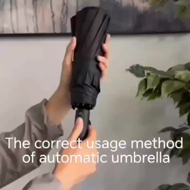 Automatic Umbrella with 10-Rib Windproof Design .