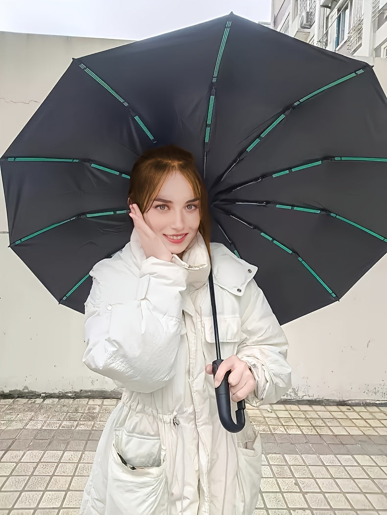 Automatic Umbrella with 10-Rib Windproof Design .