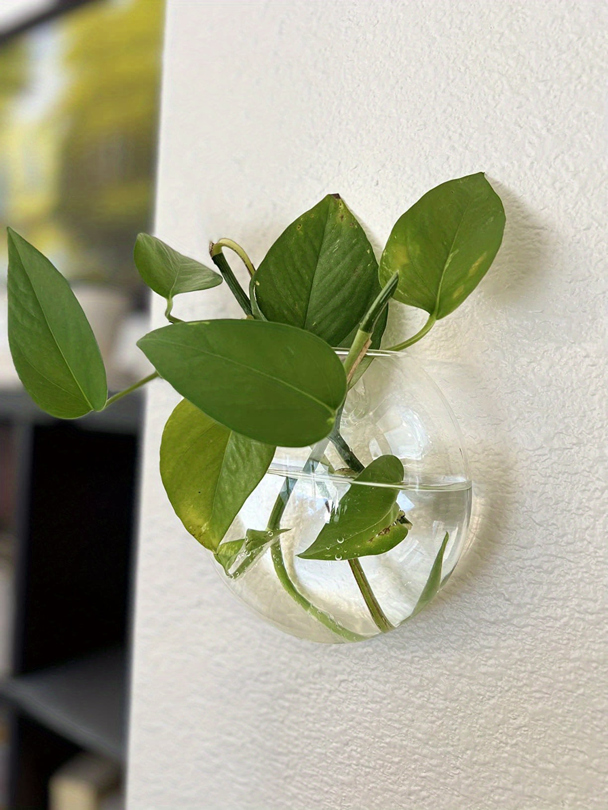 2pcs/ 4pcs/ 6pcs Wall Hanging Glass Terrariums Planter Oblate Flower Vase For Hydroponics Plants Gift, Home Office Living Room Decor
