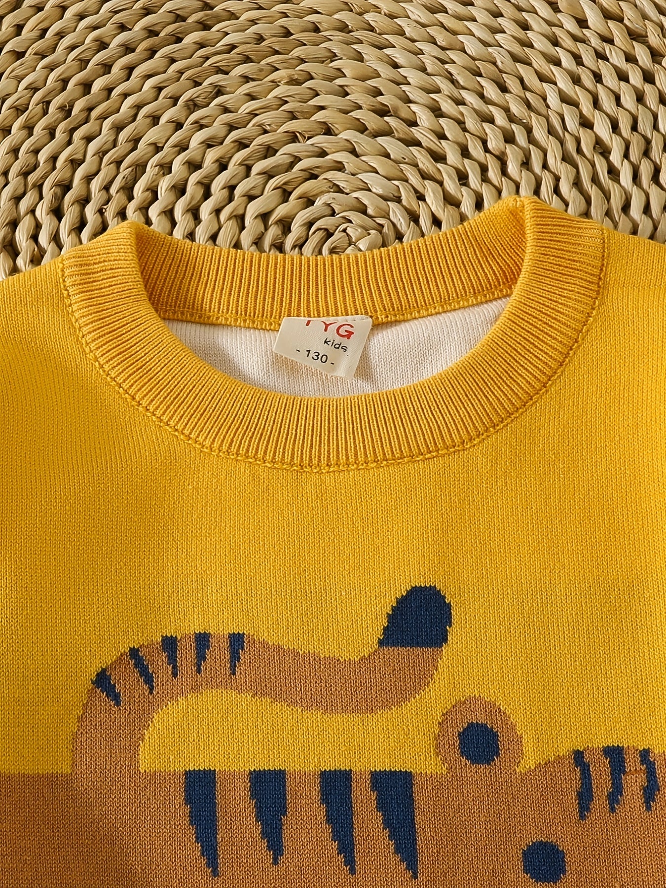 Boys Color Block Cartoon Tiger And Crocodile Pattern Sweater
